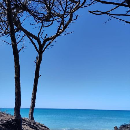 Mare Toscano Apartment Riparbella Bagian luar foto