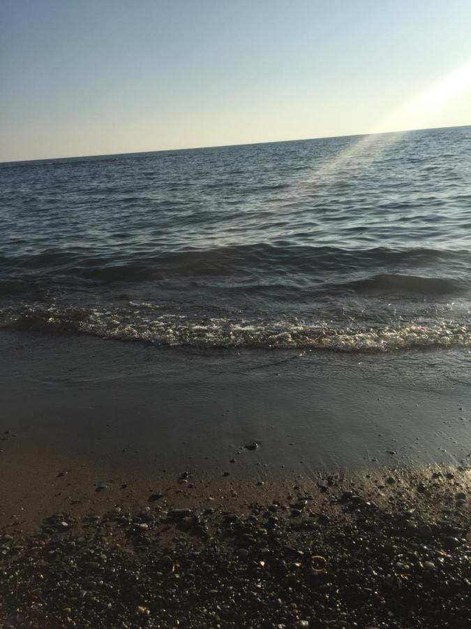 Mare Toscano Apartment Riparbella Bagian luar foto