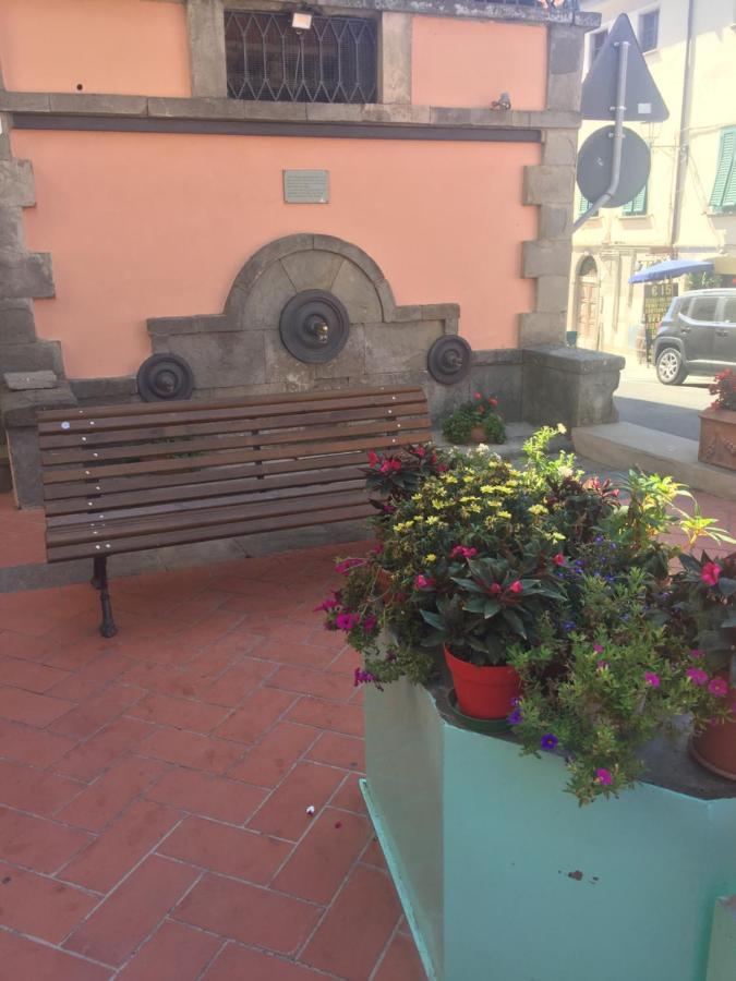 Mare Toscano Apartment Riparbella Bagian luar foto