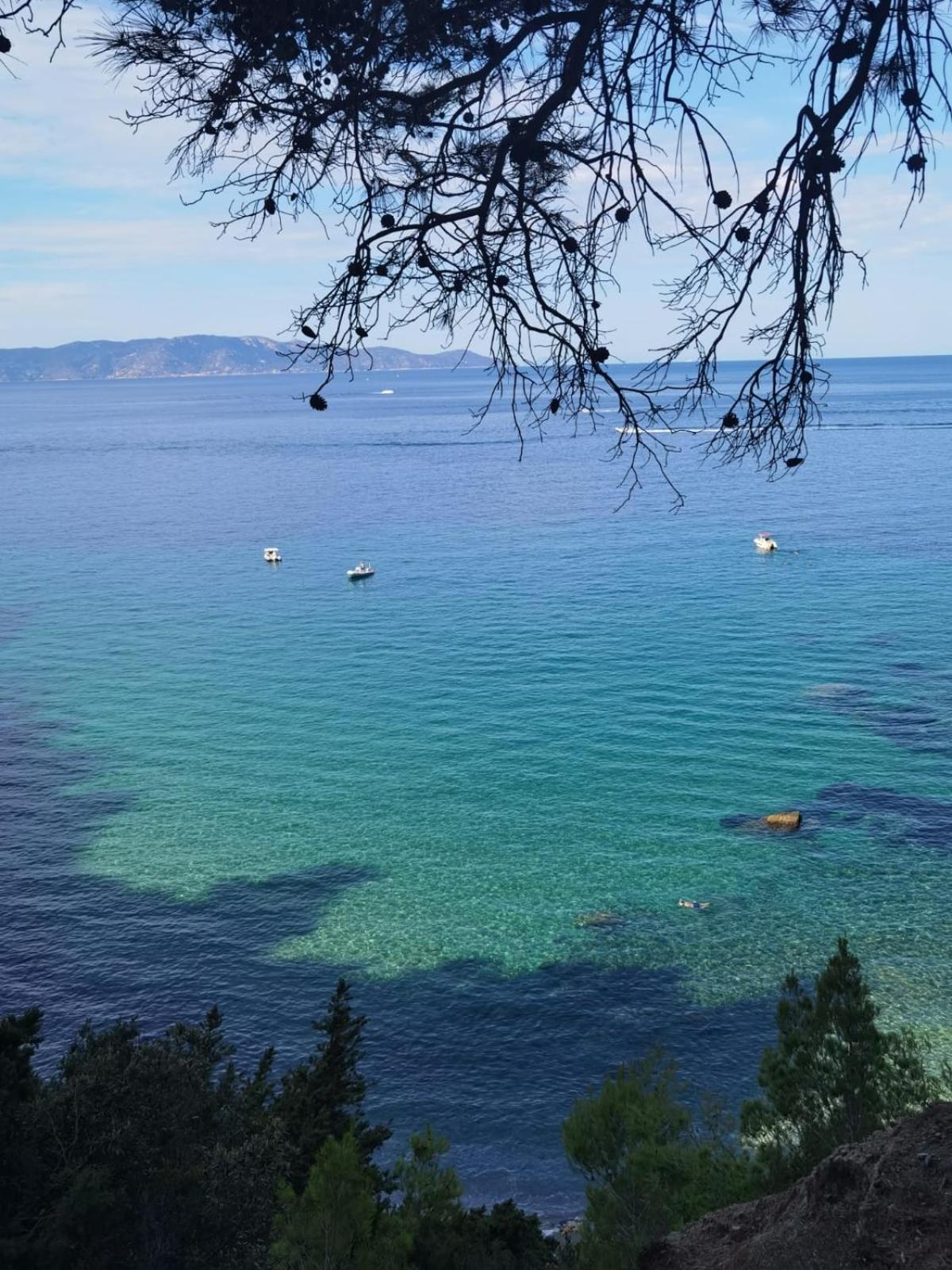 Mare Toscano Apartment Riparbella Bagian luar foto